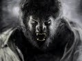 The wolfman digital finger painting by Damien Rowe
