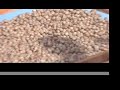 spicy-madagascar.html