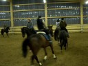 Training für die Dressurquadrillie