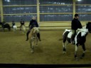 Training für die Dressurquadrillie