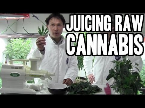 Juicing Raw Cannabis for Highest Health Benefit