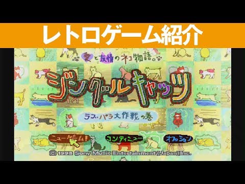 動画