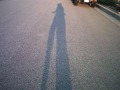 Shadow Siblings