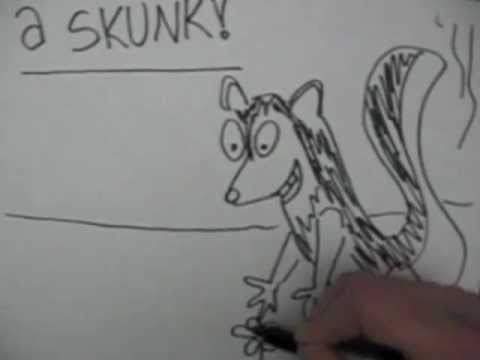 Draw a skunk | Doodle Ideas
