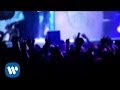 Marea Canaleros Video and Lyrics
