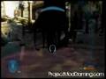 Halo 3- Under Ghost Town [With Map]