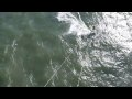 Kiteboarding Manzanita on the Oregon Coast 070209