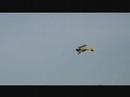 gws tiger moth