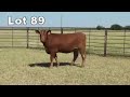 Lot 89 U83