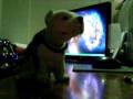 videos de Alien Song