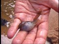 EXPEDITION GUYANE 2007