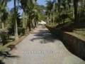 XIKO KARPA - Ibiuna SP / Verão 2008
