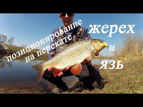 YouTube Трейлер