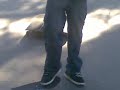 saltando tres skates