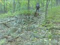 no leaf hiking