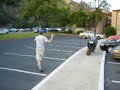 Gnarly Skateboarding crash Gnarly Skateboarding crash