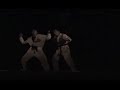 AO Shindig Karate Machine