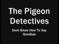 The Pigeon Detectives - Dont Know How To Say Goodbye