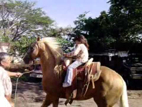 caballos salvajes - es un videos de unos niños aprendiendo a montar.