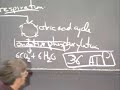 Lec 7 | MIT 7.014 Introductory Biology, Spring 2005