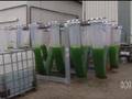 Algae Photobioreactor at Hazelwood coal powerplant