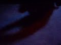 sexual intercourse
