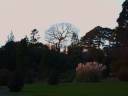 Killarney-Muckross House