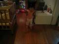080821 My First Steps