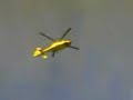 9°rally taormina 2007 incidente