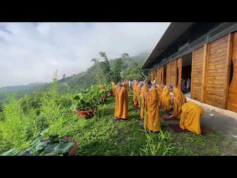 NIKAYA Thiền Quán - 32 Thể Trược - Xác Chết - Trải Tâm Từ & Trình Pháp *