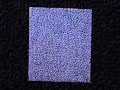carpetclean1 1