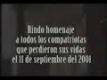 delfin torres gemelas