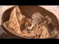 Hunting for food and survival in the desert - Ian Wright in the Kalahari - BBC