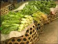 Part 3_1 of the RUAF video on Food security