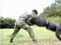 miltary sanda