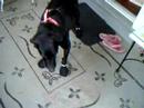 lucy's new boots!