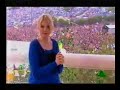 lily allen & the specials, gangsters