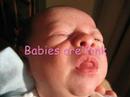Roses are Red, Babies are Pink