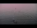 Thomas med en stor s��rred