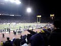 apple cup apple cup