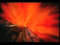 The Cory Daniel Band -- Whippin' Post - LIVE
