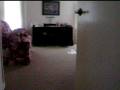 videos de Madison Playing Fetch 3