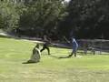 Battlemen's Guild and Orange County Shinai