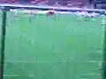 rclens nice