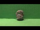 my first stop motion