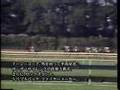 Easy Goer-Belmont Stakes