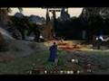 Commentary on Dark Templar captures flag: Age of Conan