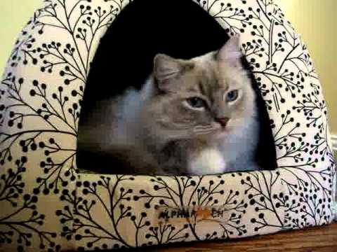 0 Alpha Pooch Napper Cat Den   Floppycats.com Review