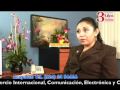 Ver Video