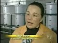 Matéria Óleo de Fritura